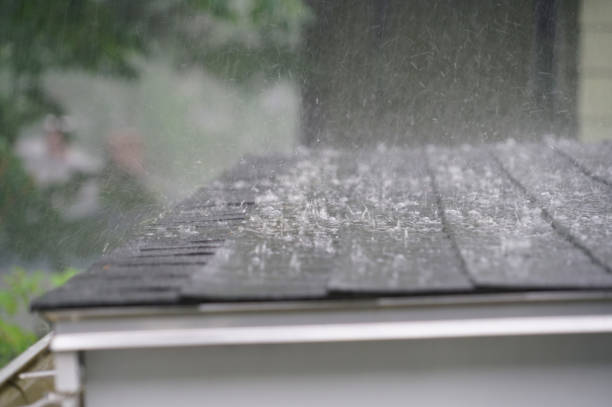 Best Asphalt Shingle Roofing  in Pine Level, AL
