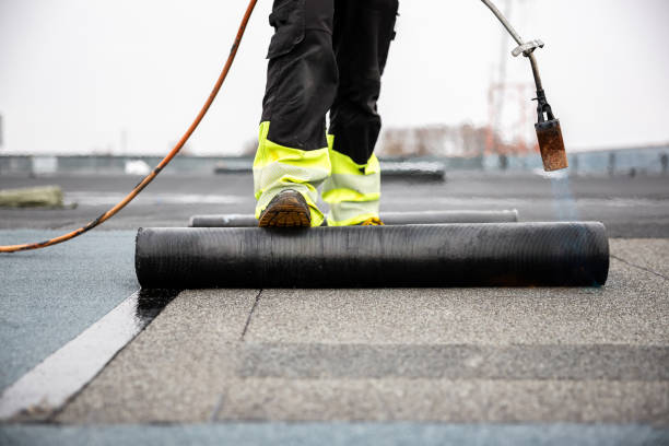 Best Steel Roofing  in Pine Level, AL