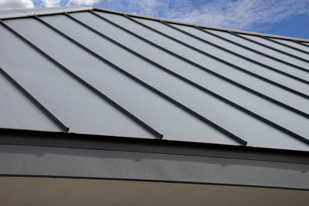 Best 4 Ply Roofing  in Pine Level, AL